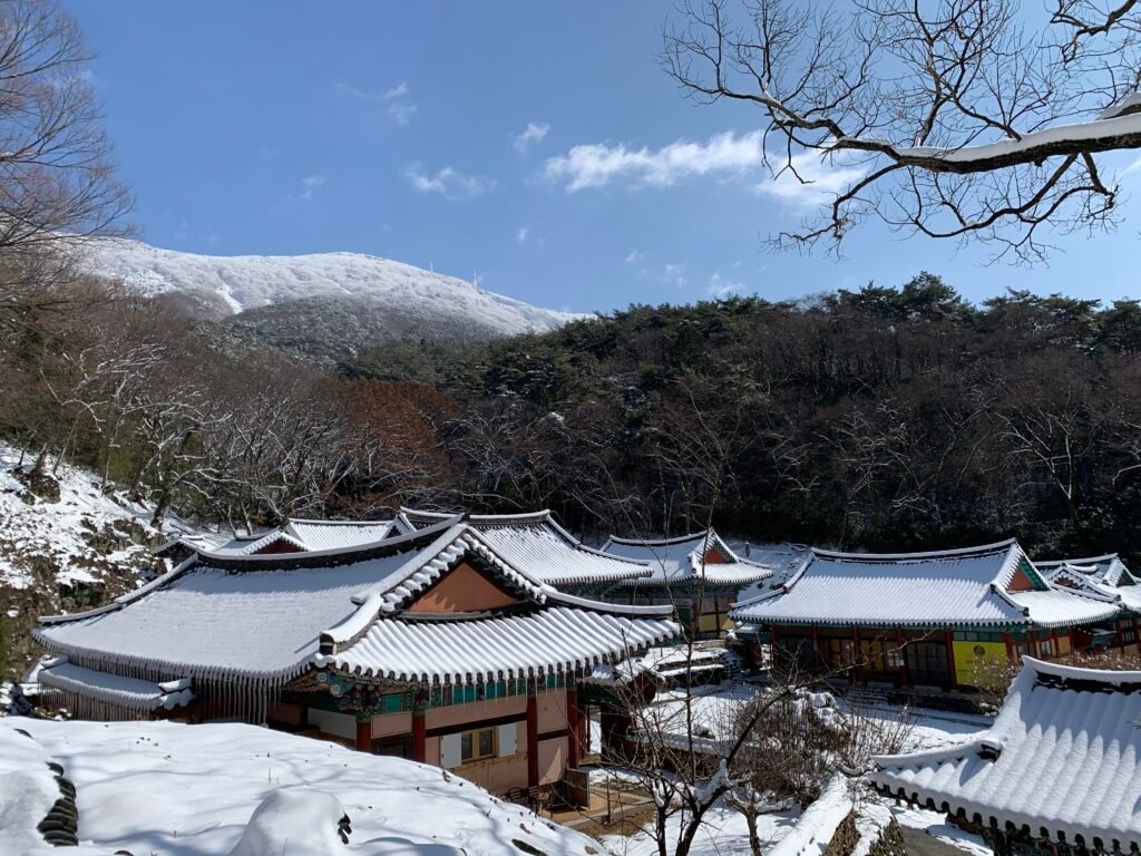 증심사의 눈